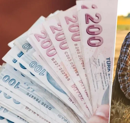 Tarım sektörüne dev destek: 844,5 milyon liralık hibe ödemesi