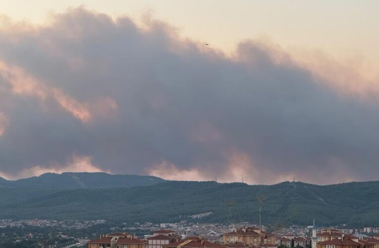 Muğla’da orman yangını. Kuvvetli rüzgarla büyüdü