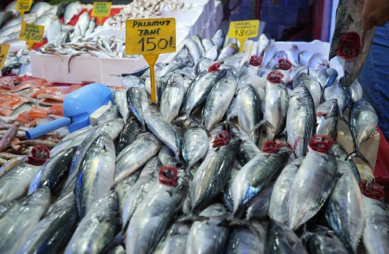 Tanesi 150 TL. Sezonun ilk gününde denizden çıktı