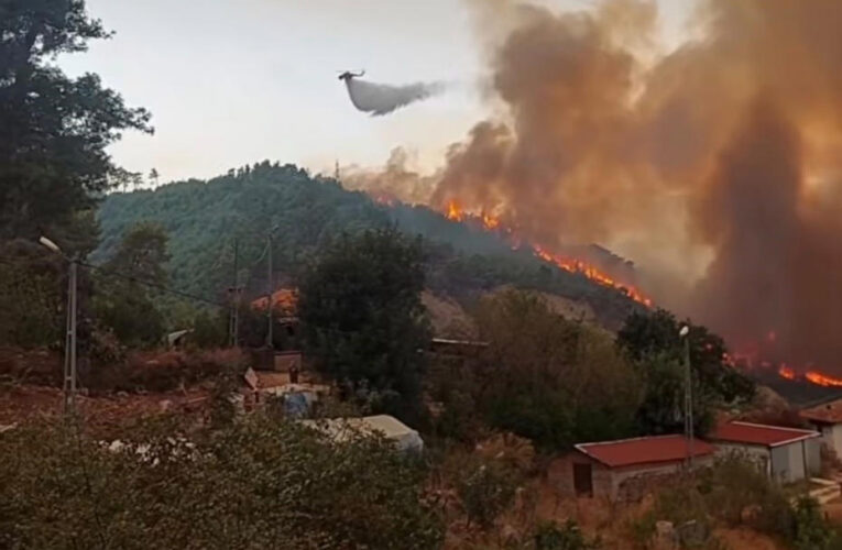 Antalya’da orman yangını. Alevler rüzgarın etkisiyle büyüdü