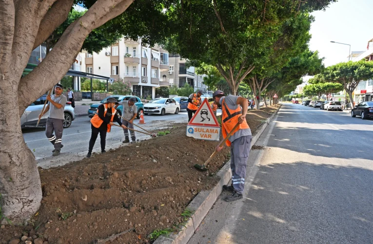 Antalya’da kurakçıl peyzajla yeşil dokunuş
