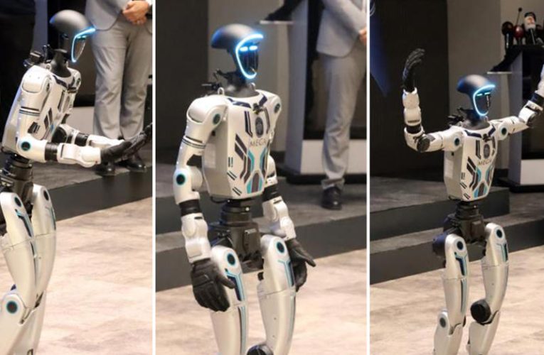 Bir aydır eğitiliyordu, insan görünümlü robot belediyede işe başladı