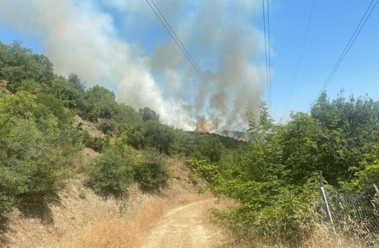 Kahramanmaraş’ta çıkan orman yangını söndürüldü