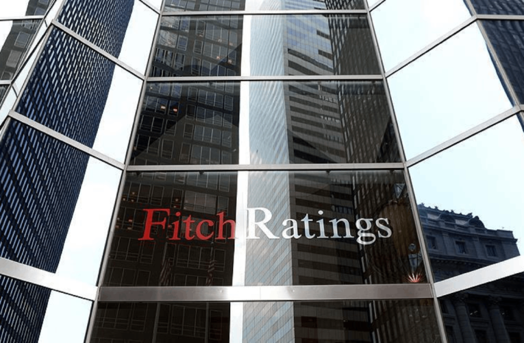 Fitch Ratings: Sistemik risk beklemiyoruz