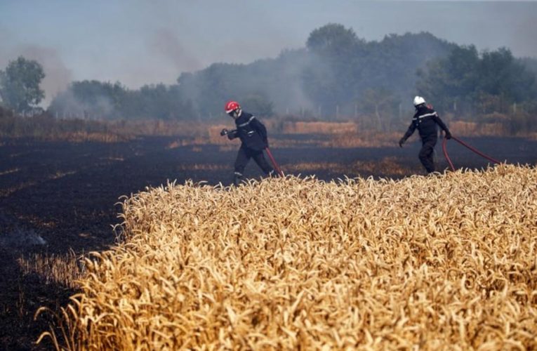 Fransa’dan kuraklıktan etkilenen çiftçilere 1 milyar euro yardım