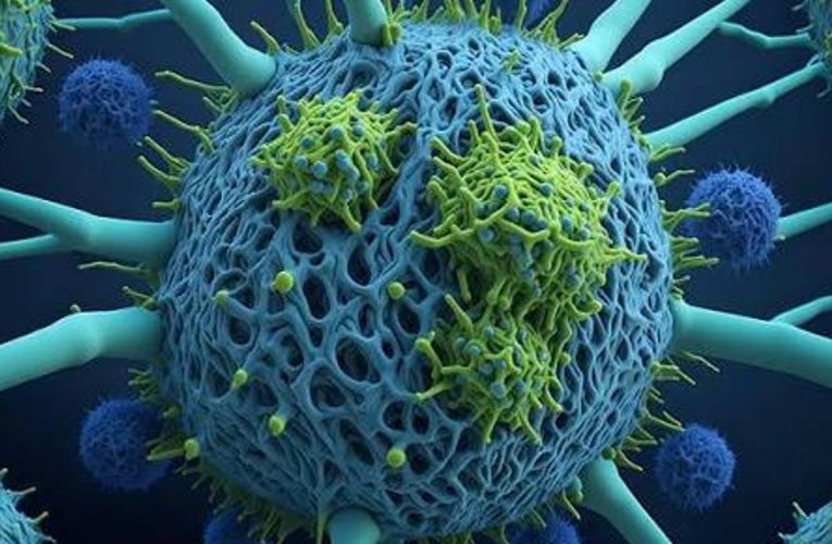 Katı Tümörlere Karşı Zafer: 3 Yaşındaki Çocuğu Kanserden Tamamen Kurtaran Genetik Mucize