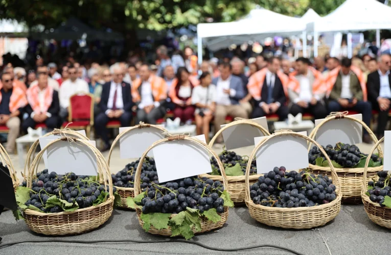 Kavacık Üzüm Festivali İzmir’de Coşkuyla Başladı