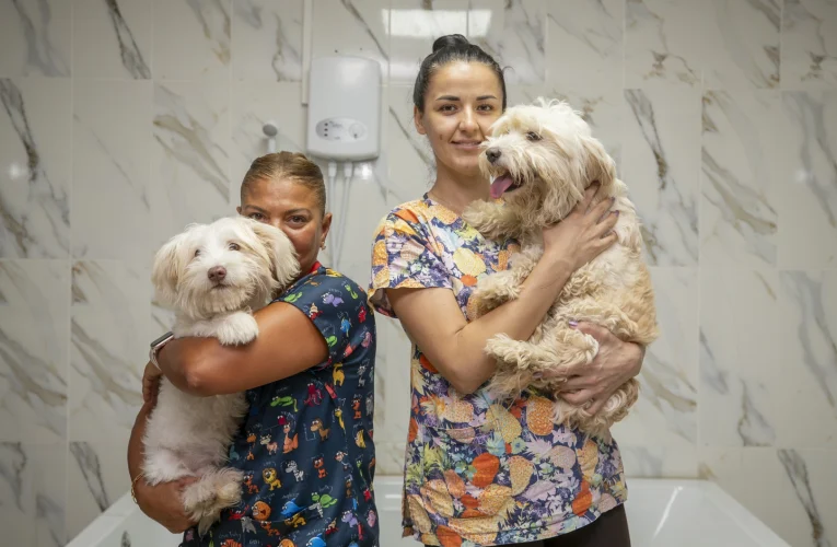 Mersin’de patili dostlar için anlamlı iş birliği