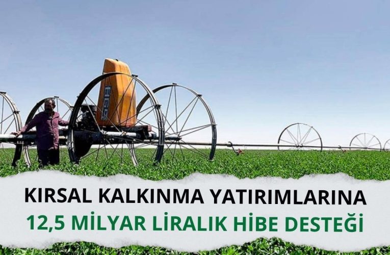 Kırsal kalkınma yatırımlarına 12,5 milyar liralık hibe desteği