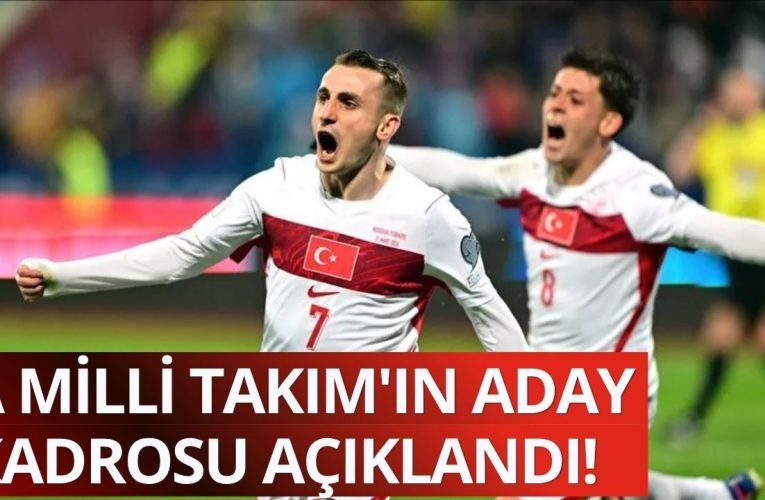A Milli Takımımızın aday kadrosu açıklandı