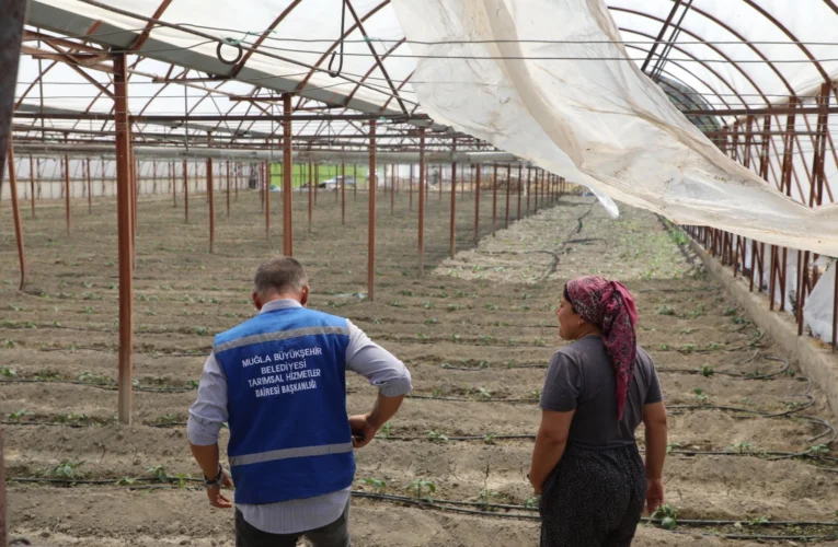 Muğla’da zarar gören üreticiye naylon desteği
