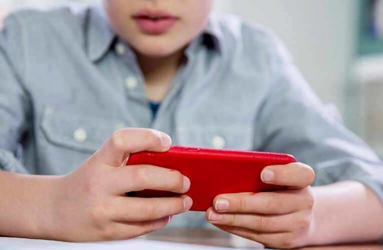 Polonya’da ilkokullarda telefon yasağı