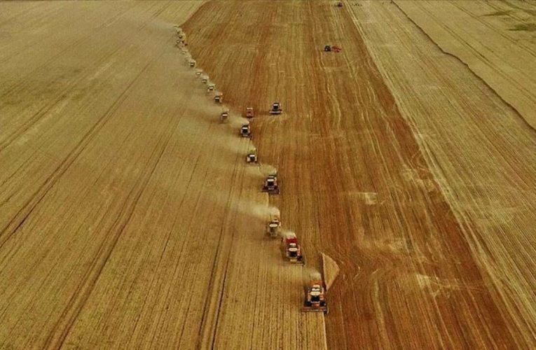Tarım ÜFE ağustosta azaldı
