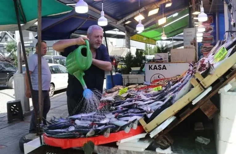 Av sezonunun ilk gününde tezgahlar palamutla doldu