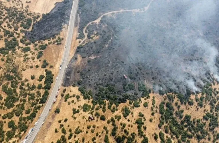 Elazığ’da ormana sıçrayan yangına müdahale ediliyor