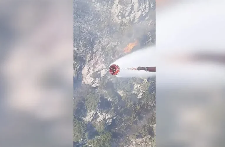 Ormanlık alanda çıkan yangına müdahale ediliyor…