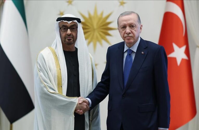 Cumhurbaşkanı Erdoğan, BAE Devlet Başkanı Al Nahyan ile görüştü