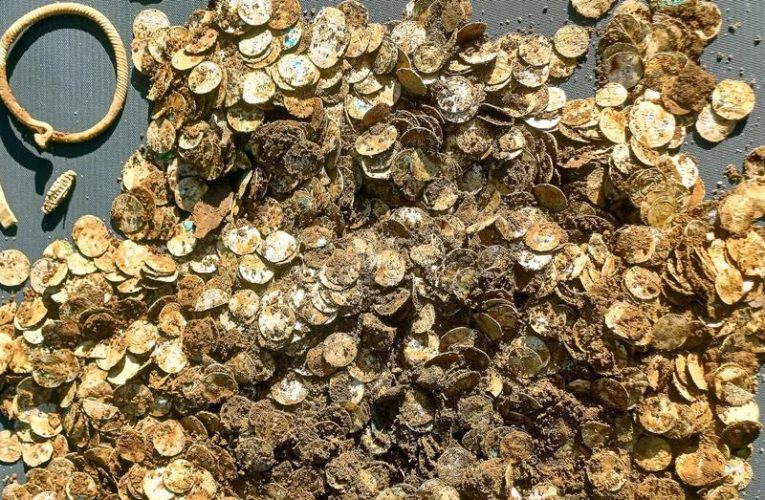 Ormanda dedektörle arama yaparken bin yıllık hazine buldu. İçinde dirhemler de var